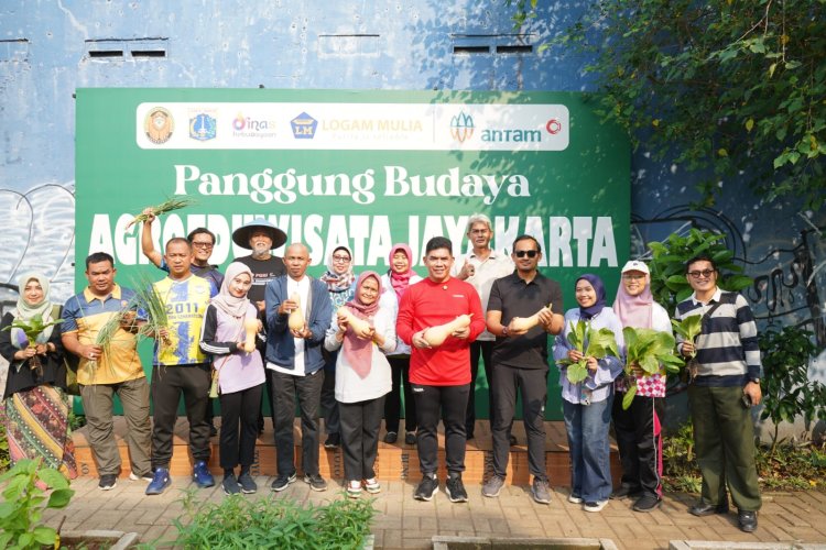 PANEN DI TENGAH KOTA, MENJAGA HARAPAN DARI SEBIDANG LAHAN
